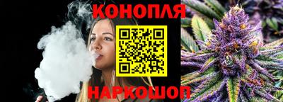 шишки Изобильный