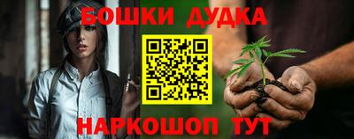 шишки Изобильный