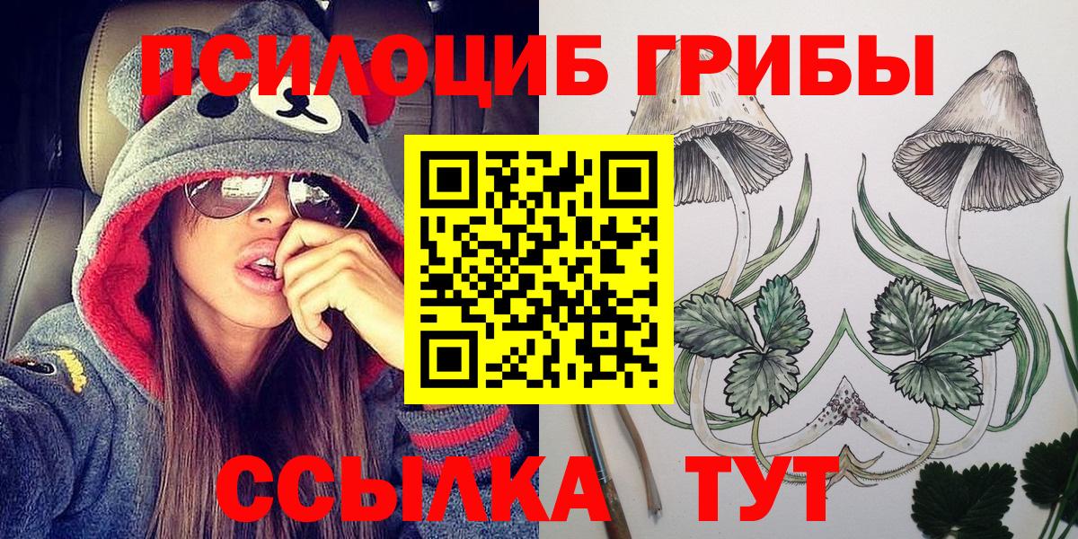 Псилоцибиновые грибы Cubensis Магадан