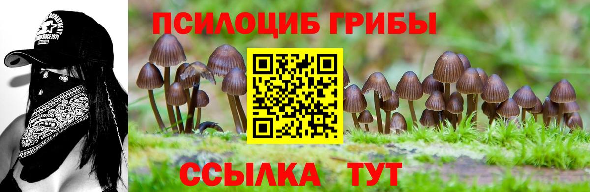 Галлюциногенные грибы GOLDEN TEACHER  Вход с VPN  Магадан 